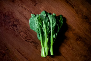 봄 캠핑의 맛: 알배기 주꾸미 숙회 손질법부터 결로 없는 실내 취사 버너 선택 팁