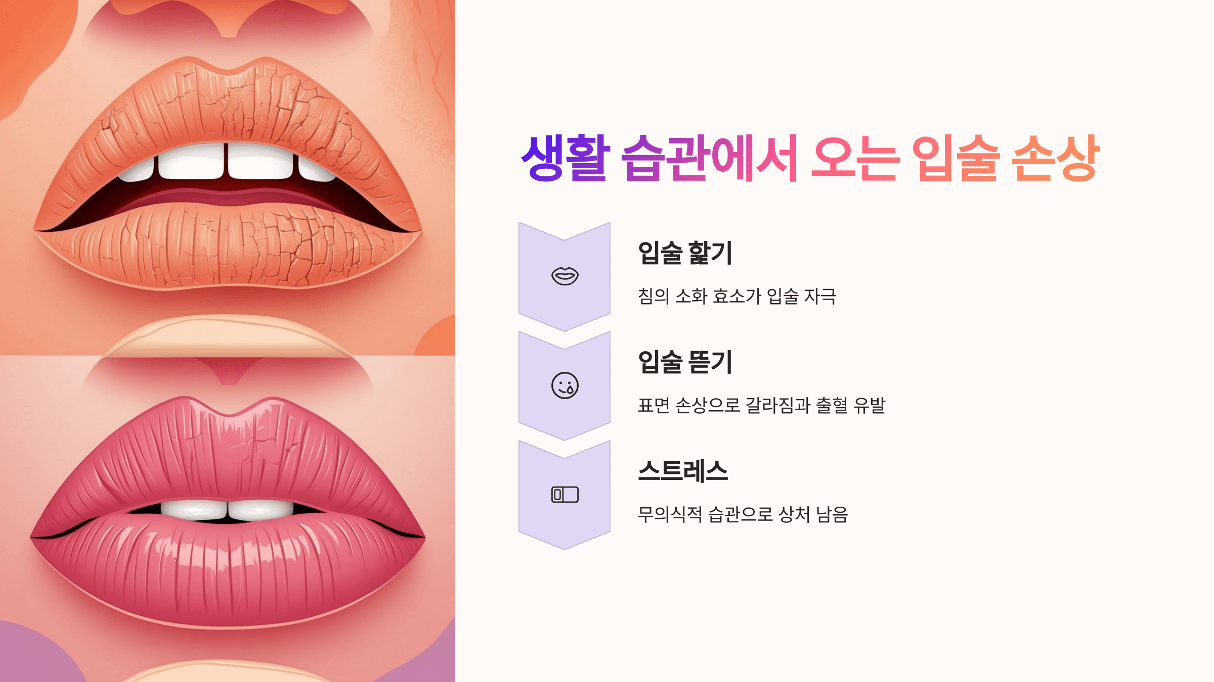 입술 사진입니다.