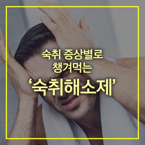 숙취 증상별 숙취해소제