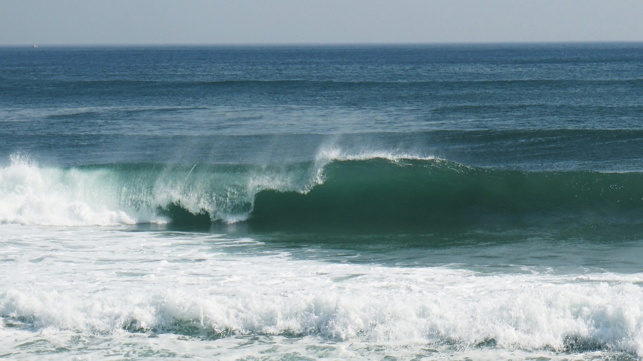 안목해변 산책 관련 사진