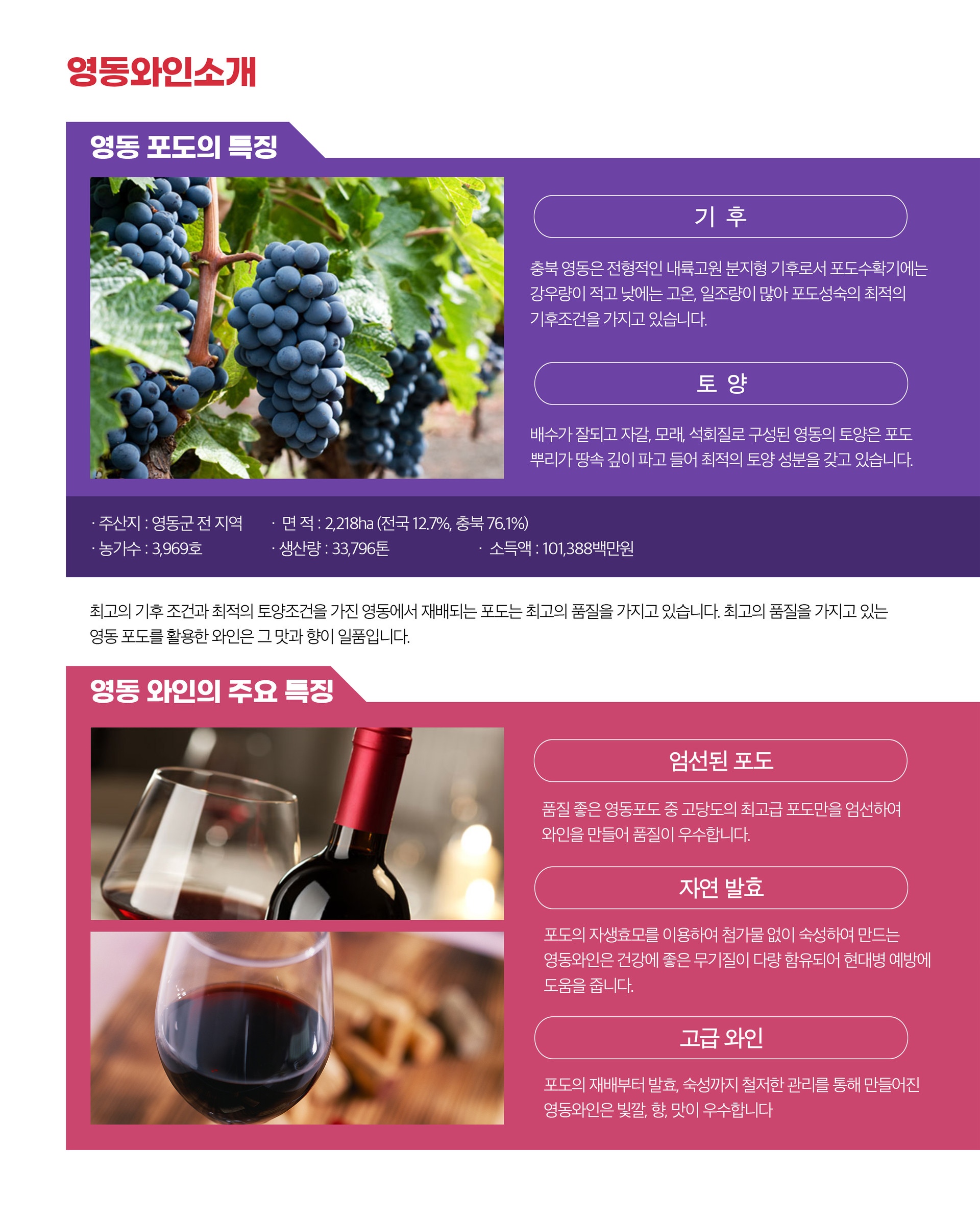 대한민국와인축제