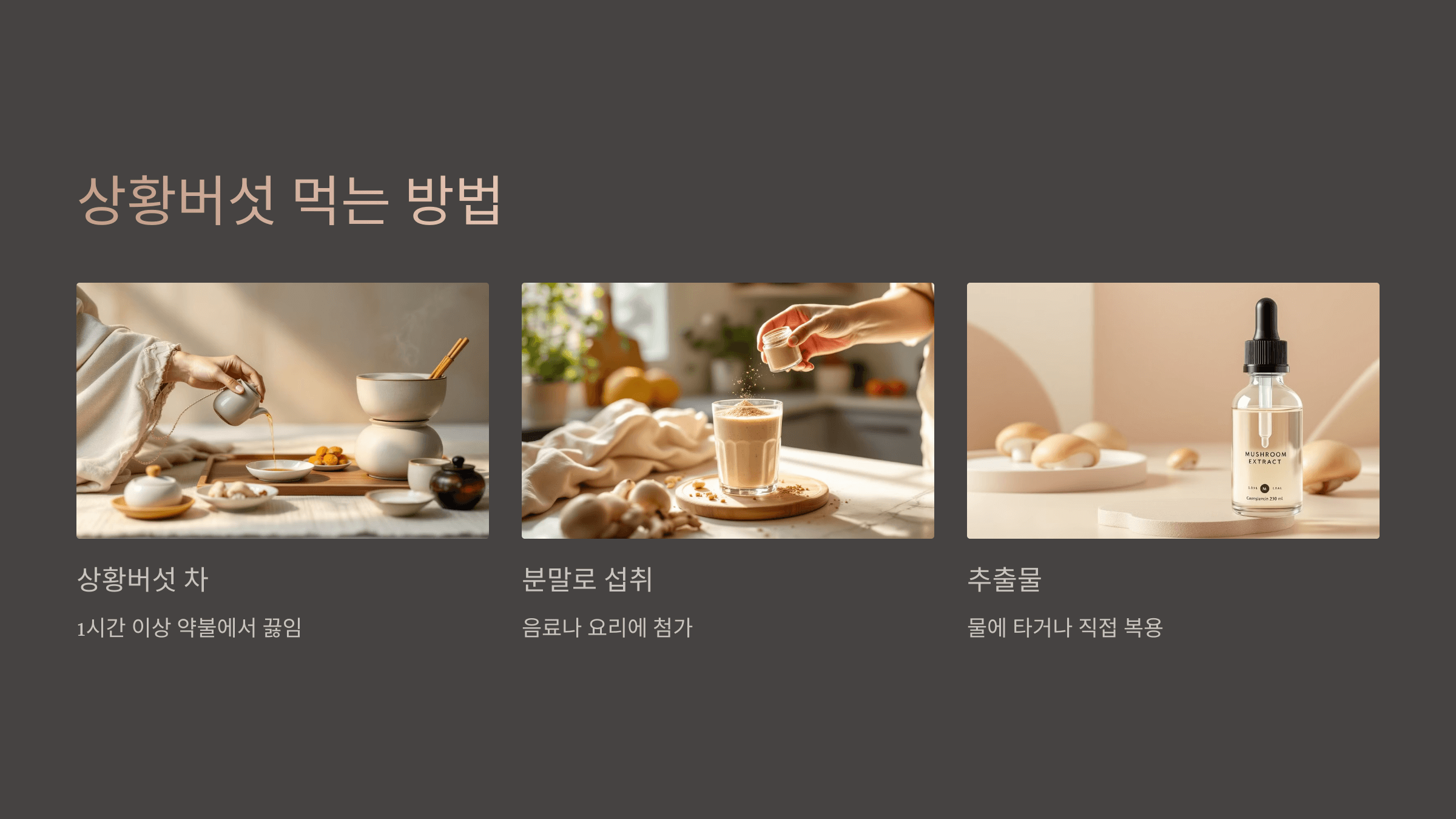 상황버섯과 관련된 사진입니다.