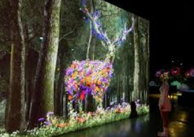 제주 2박 3일 핫플레이스