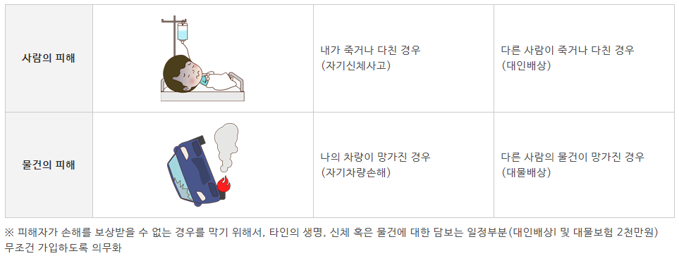 책임보험 (의무보험)