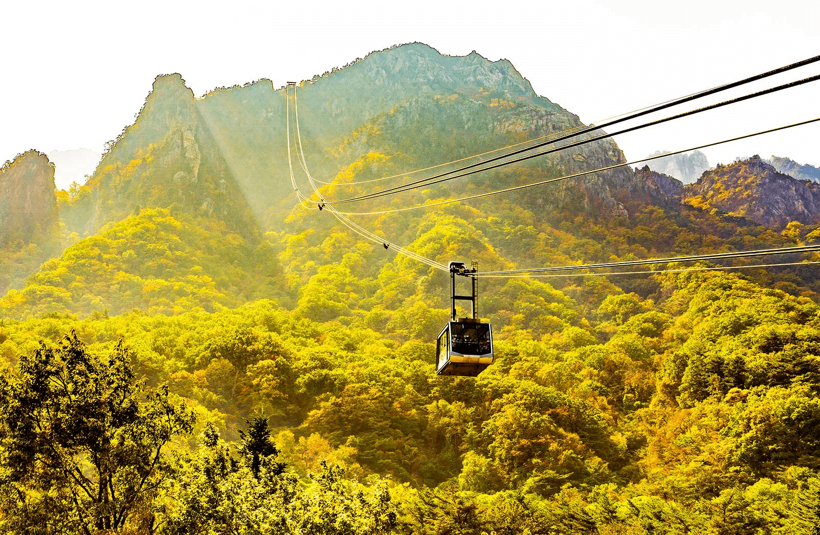 설악산 케이블카 요금표, 할인 혜택 보기