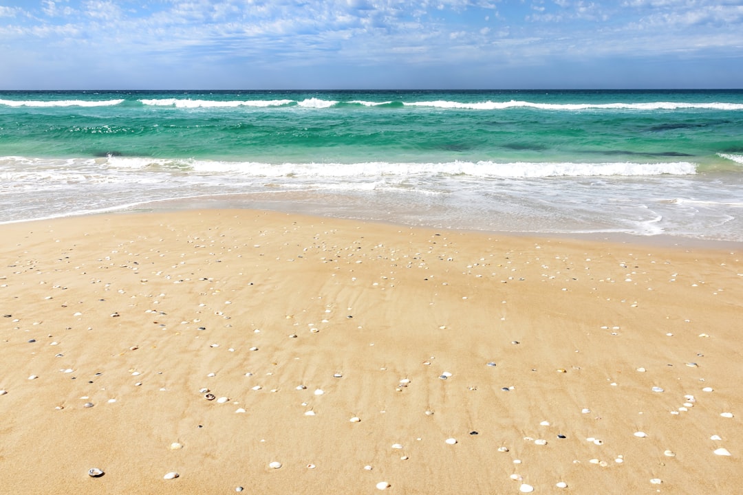 Beach.