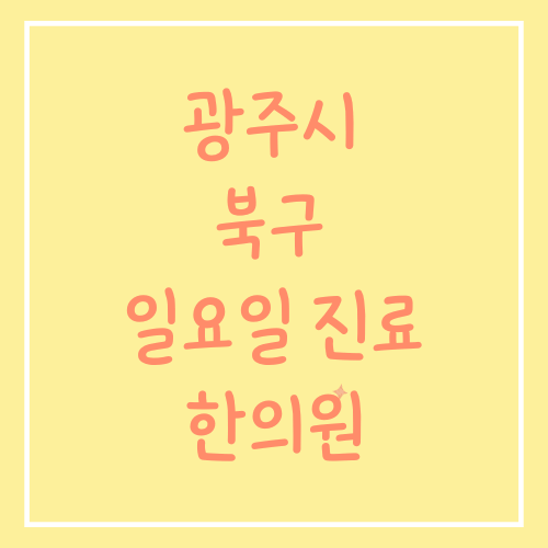 광주시 북구 일요일 진료 한의원