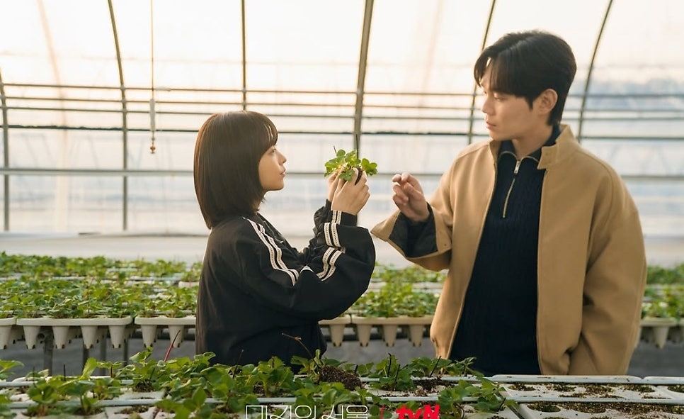 미지의 서울 등장인물 몇부작 시청률(5)