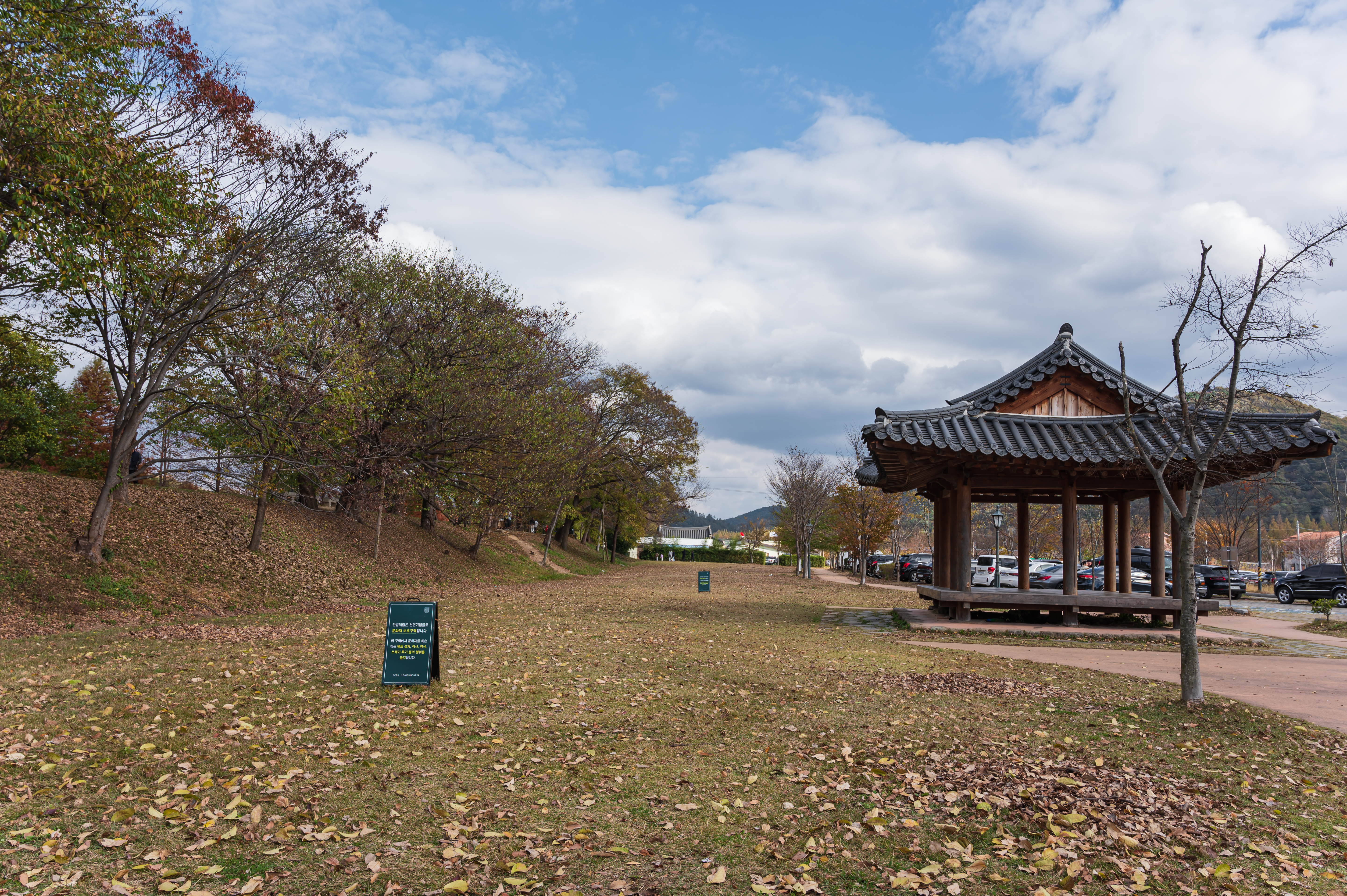 ๋ด์ ๊ด๋ฐฉ์ ๋ฆผ