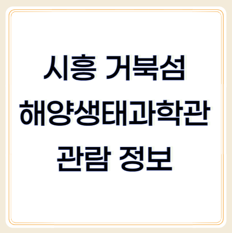 시흥 거북섬 해양생태과학관 개관! 생태체험, 관람안내, 주차