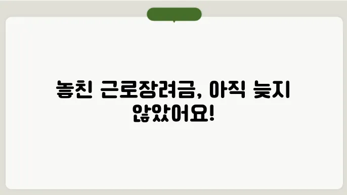 근로장려금 놓침 어떻게 해야 할까?