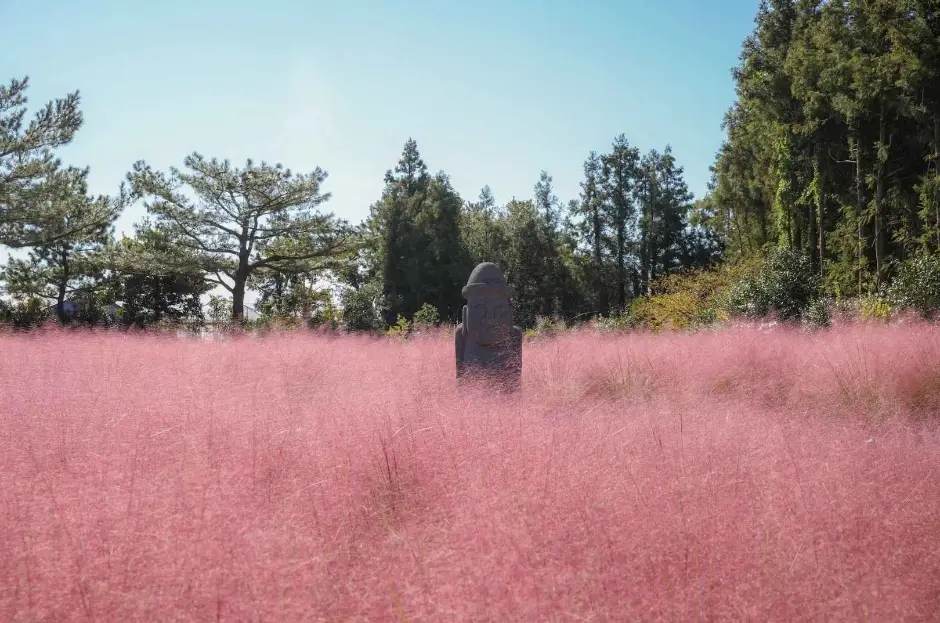 휴애리-핑크-뮬리