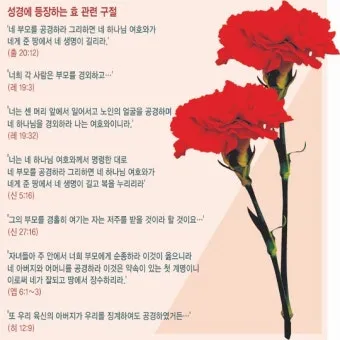 명심보감 -부모의 말씀과 공경의 본질 이해하기_22