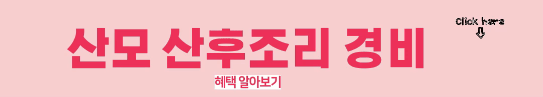 서울시 산후조리경비 지원