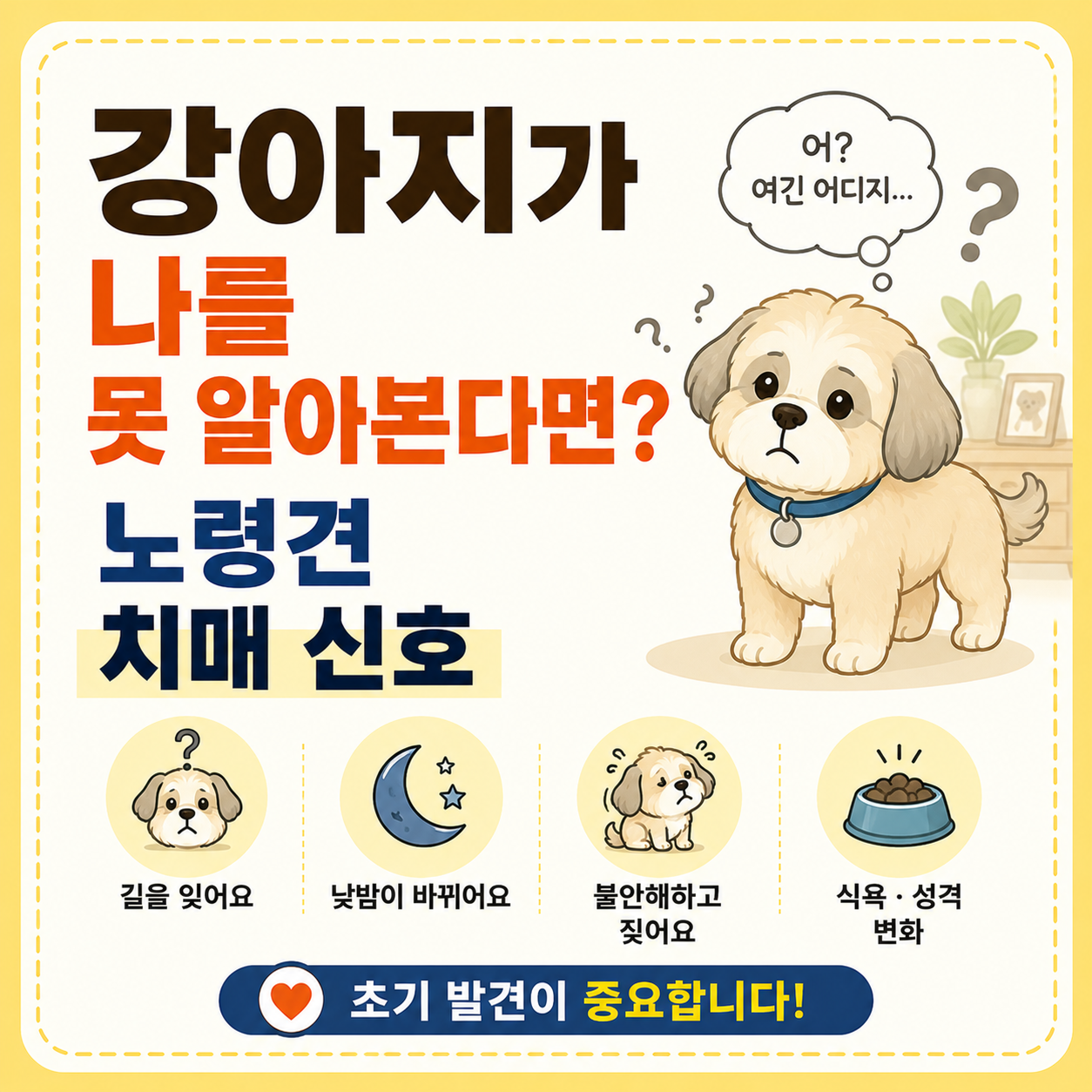 노령견 치매 신호