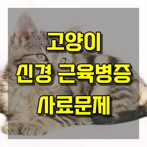 고양이 신경근육병증 관련 사료 문제 제기