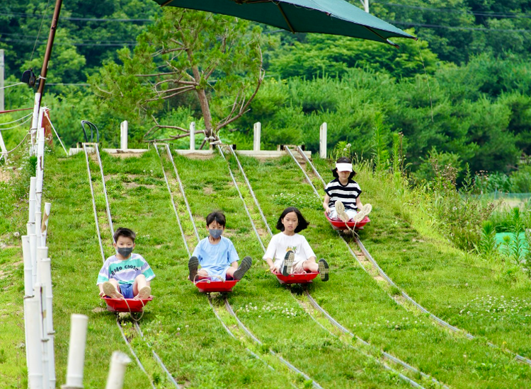 양평 임실 치즈마을