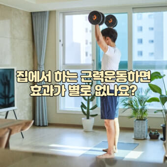 집에서 운동하기