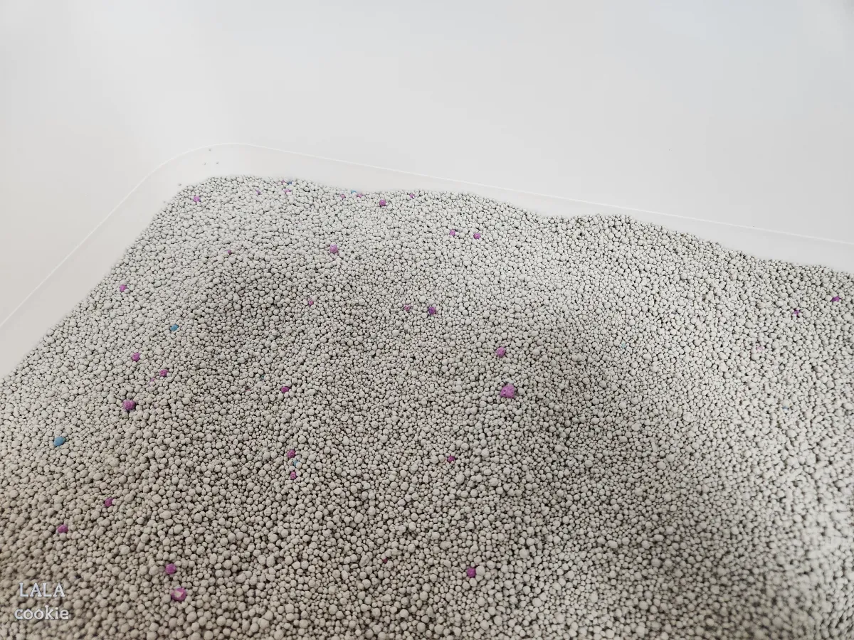 탐사-고양이-벤토나이트-모래-후기-모래-알갱이-크기