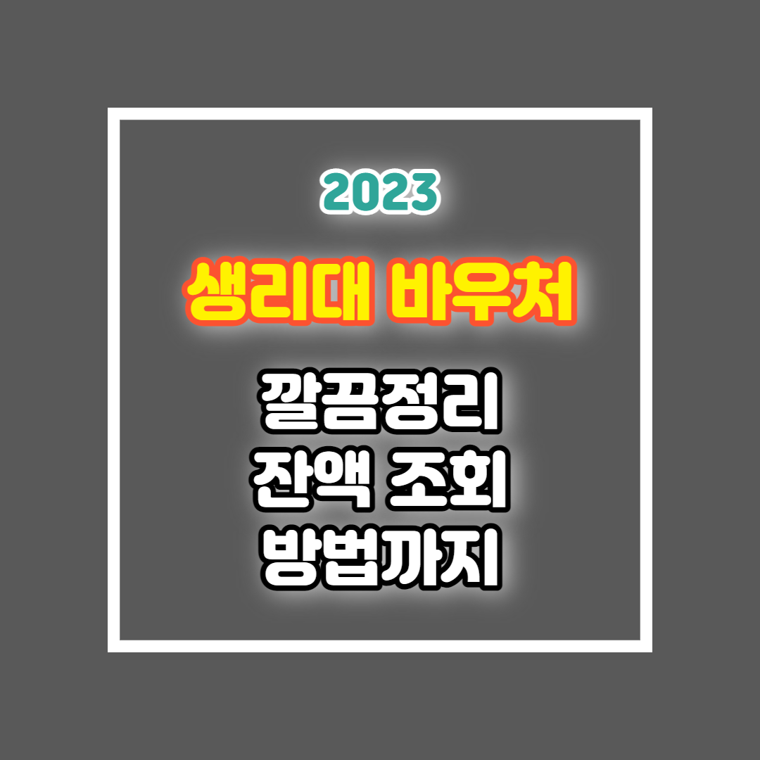 2023년 생리대 바우처