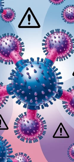 고사리 독소 제거 방법, 독성 제거, 고사리 삶는 법