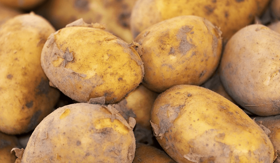 우울증에 좋은 음식 감자가 쌓여 있다