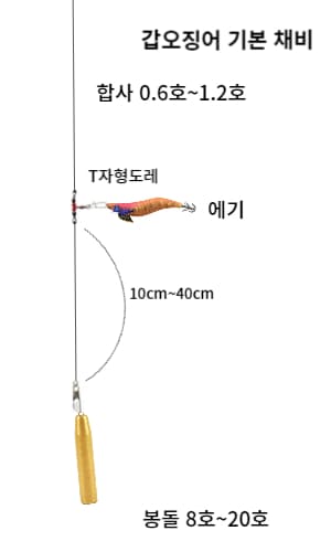 갑오징어-기본채비