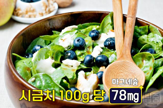 마그네슘 많은 음식 시금치 마그네슘 하루 권장량 부작용