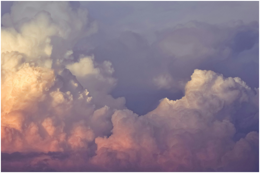 2025 벚꽃 개화시기, 여행지 총정리