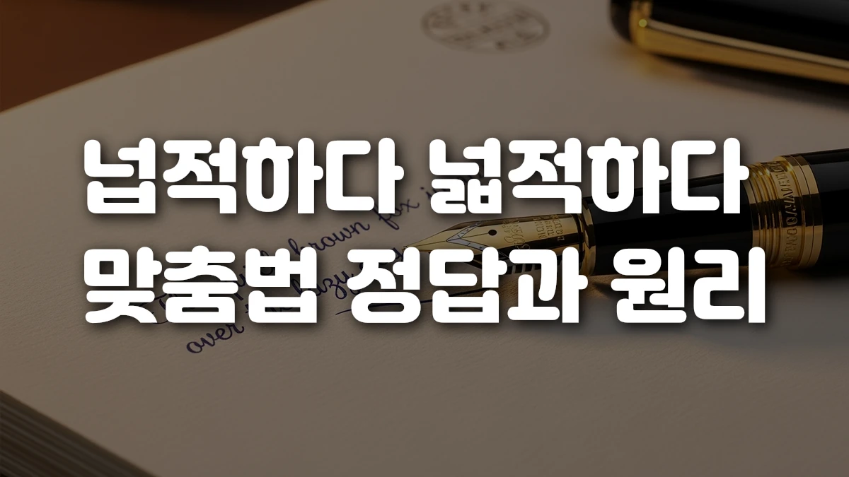 넙적하다 넓적하다 맞춤법 정답과 원리