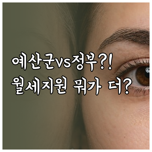 2026년 예산군 청년월세지원 정부와..