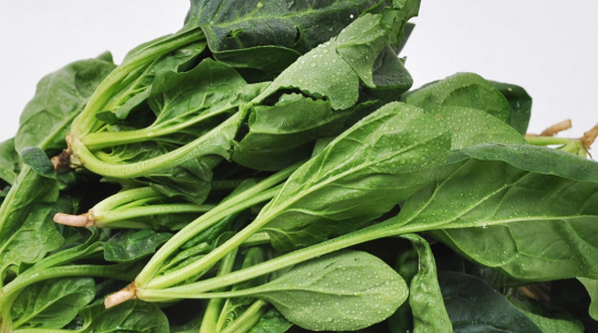 건선에 좋은 음식1