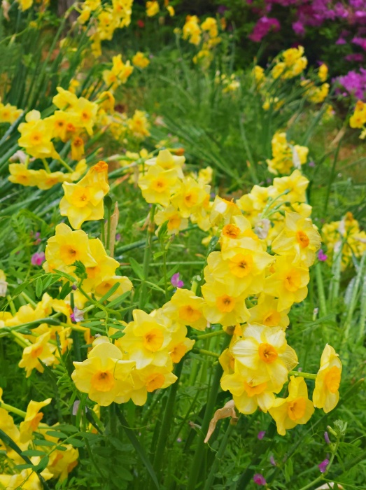 미래에셋 ISA 만기이전 방법