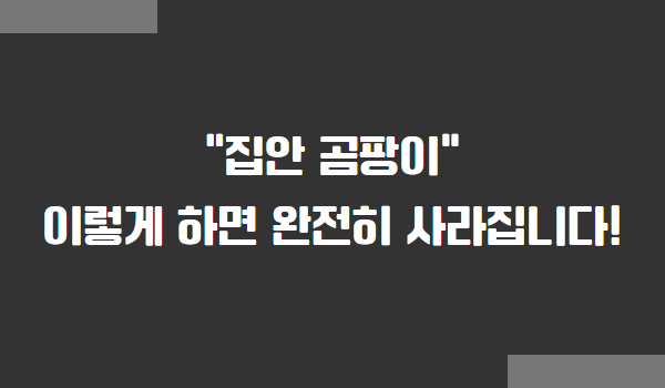 집안 곰팡이 제거법