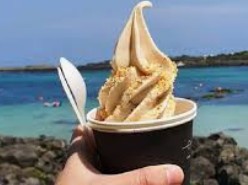 제주 2박 3일 핫플레이스