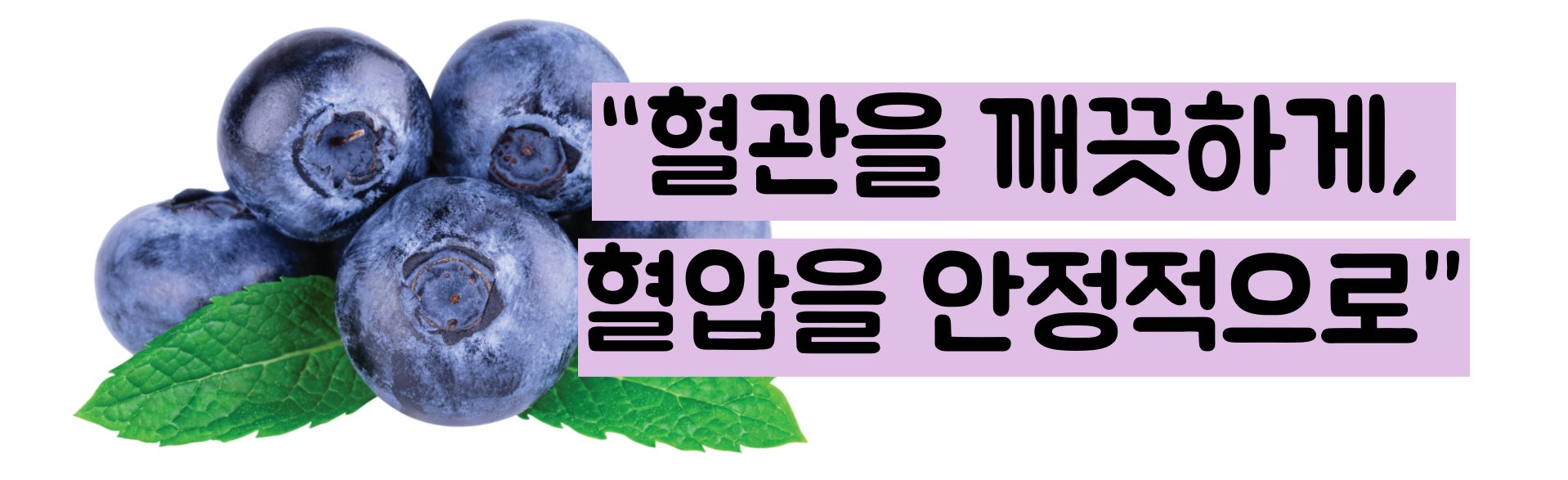 블루베리 효능