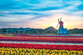 신안 임자도 큘립축제