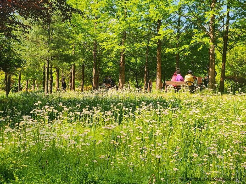 부천 무릉도원수목원