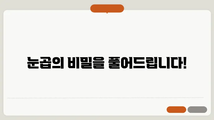 눈꼽이 잘 끼는 이유 10가지 공개