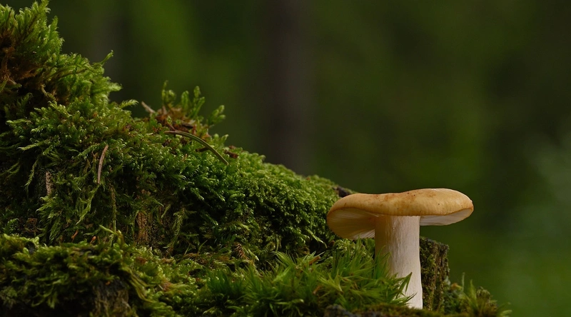 공장 바닥 에폭시