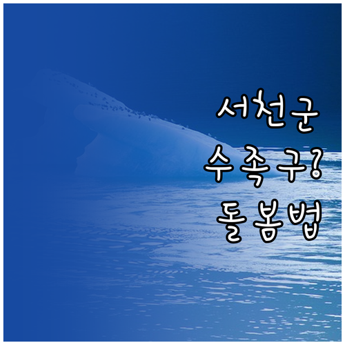 서천군 수족구 진료 기관과 단계별 돌..
