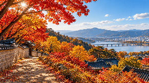 ITX-청춘 매진 시 입석 구매