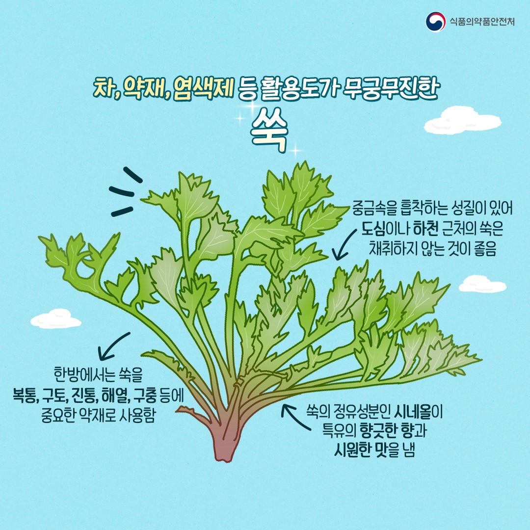 쑥의 영양 성분 관련 이미지