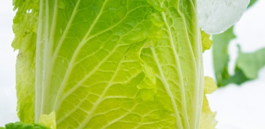 김장 절임배추 마트별 가격 비교(24년 11월14일 기준)