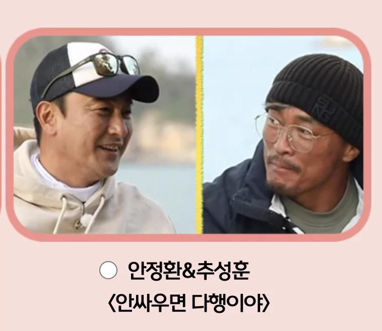 안 싸우면 다행이야&amp;#44; 안정환 &bull; 추성훈