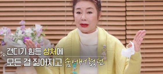 탤런트 김청 프로필 