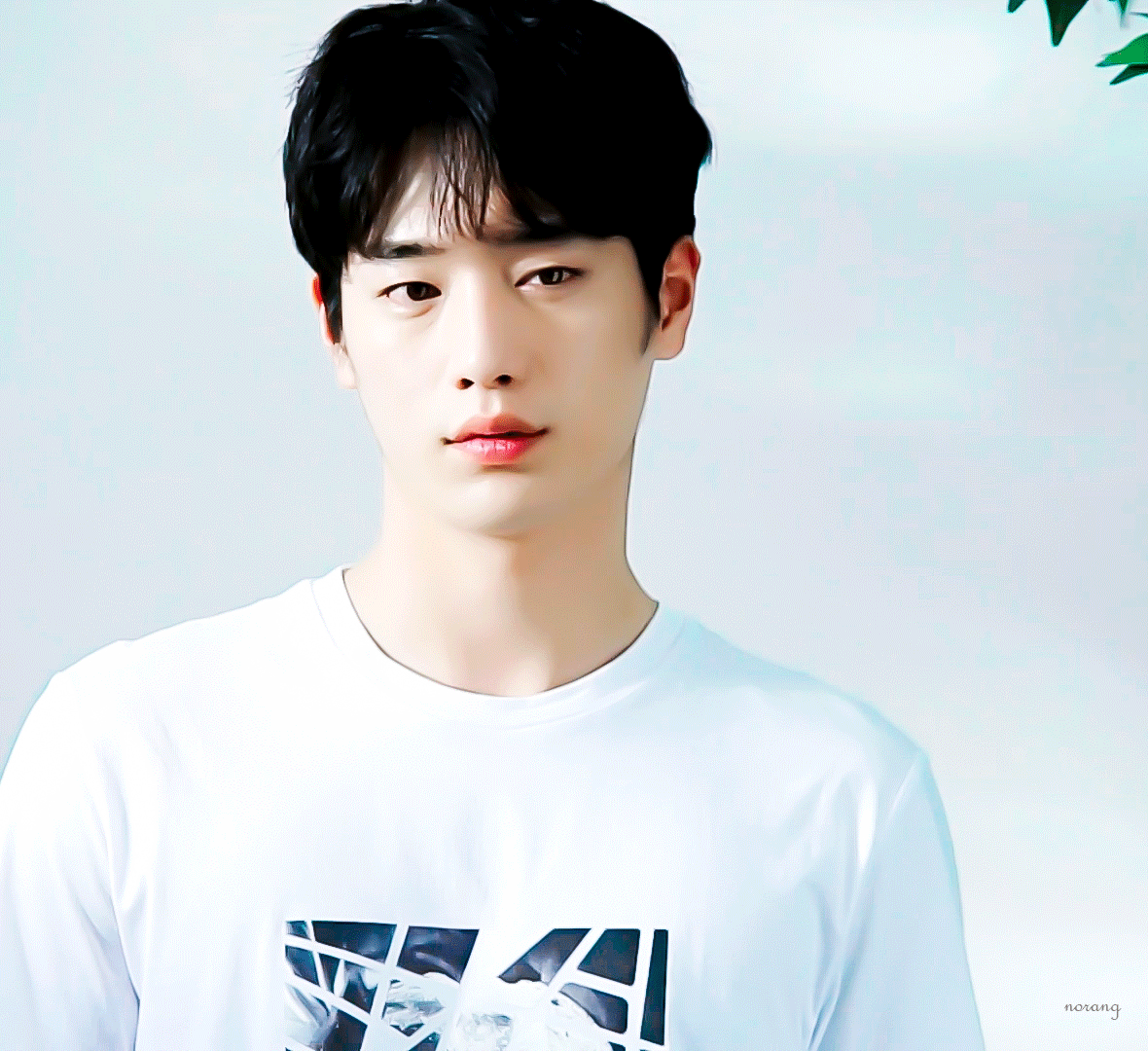서강준