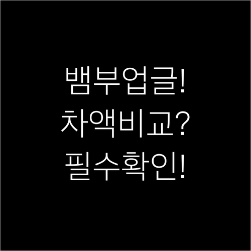 뱀부항공 일반석 프리미엄석 변경 차액..