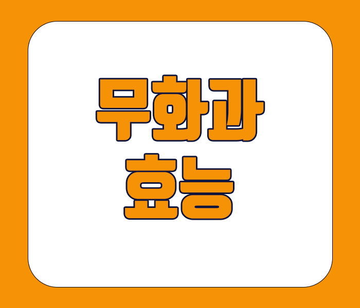 무화과 효능