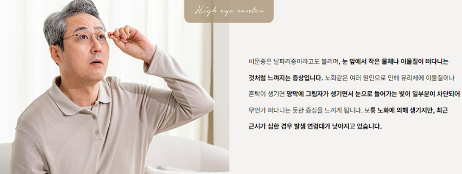 비문증 정의